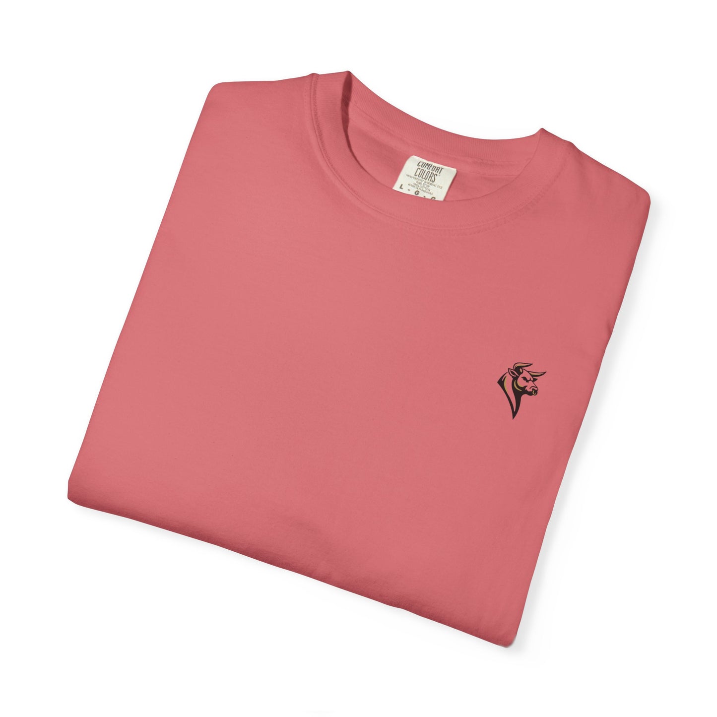 BFSG Graphic Tee