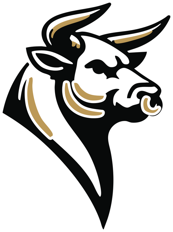 Angry Bull Trading LLC