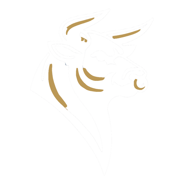 Angry Bull Trading LLC